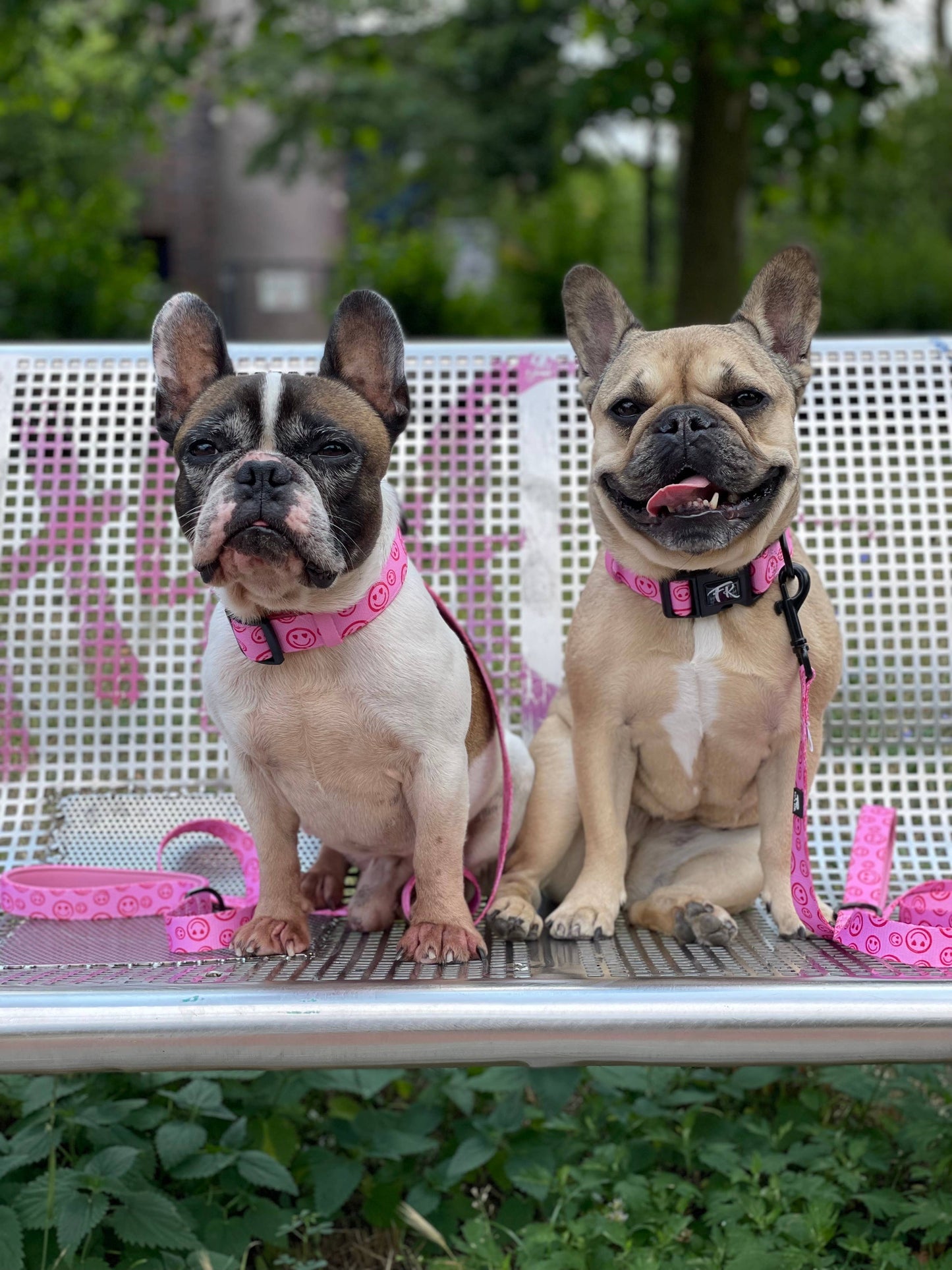 Hundehalsband Happy Hearts