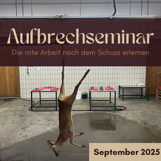 Aufbrech-Seminar 6. September 2025
