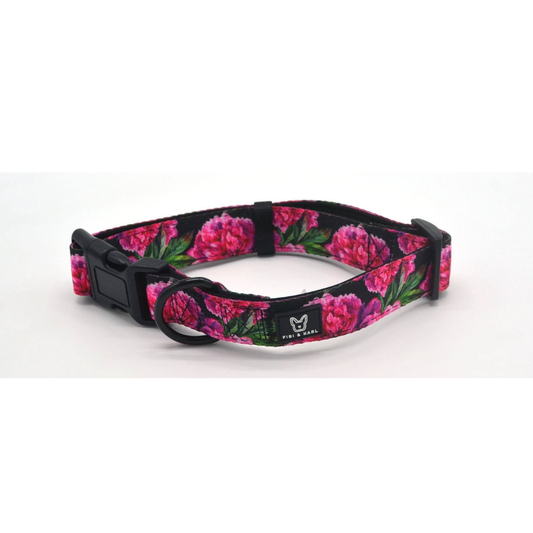 Breites Hundehalsband Empowerment