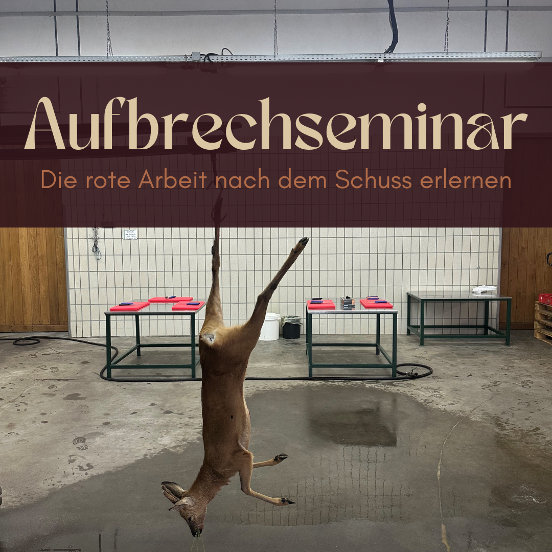 Aufbrechseminar 05. September 2026 (Rheinhessen)
