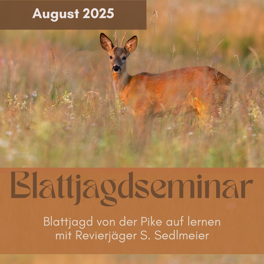 Blattjagdseminar August 2026