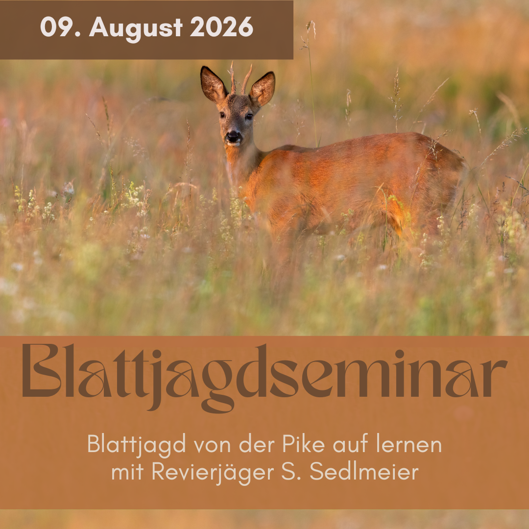 Blattjagdseminar 09. August 2026 (Rheinhessen)